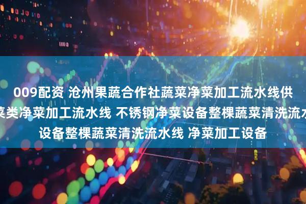 009配资 沧州果蔬合作社蔬菜净菜加工流水线供应 预制菜生产叶菜类净菜加工流水线 不锈钢净菜设备整棵蔬菜清洗流水线 净菜加工设备