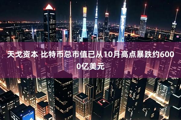 天戈资本 比特币总市值已从10月高点暴跌约6000亿美元