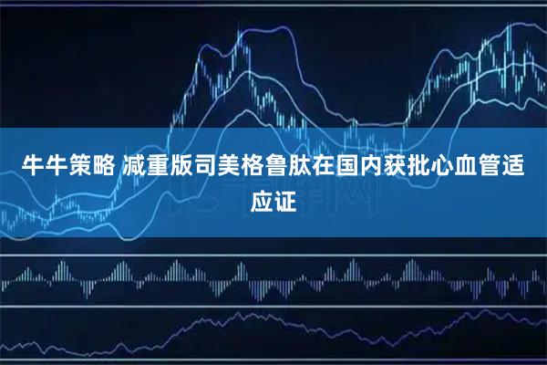 牛牛策略 减重版司美格鲁肽在国内获批心血管适应证