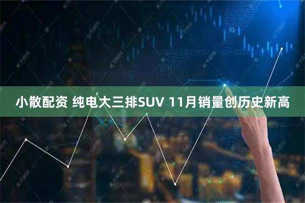 小散配资 纯电大三排SUV 11月销量创历史新高