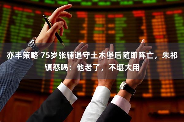 亦丰策略 75岁张辅退守土木堡后随即阵亡，朱祁镇怒喝：他老了，不堪大用